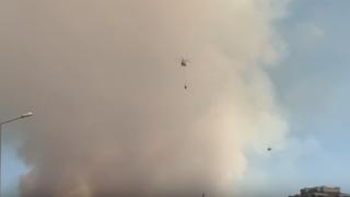 Alanya'da gece başlayan orman yangınına müdahale sürüyor