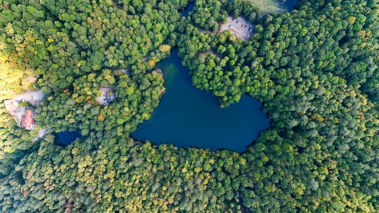 Yedigöller'de sonbahar cümbüşü