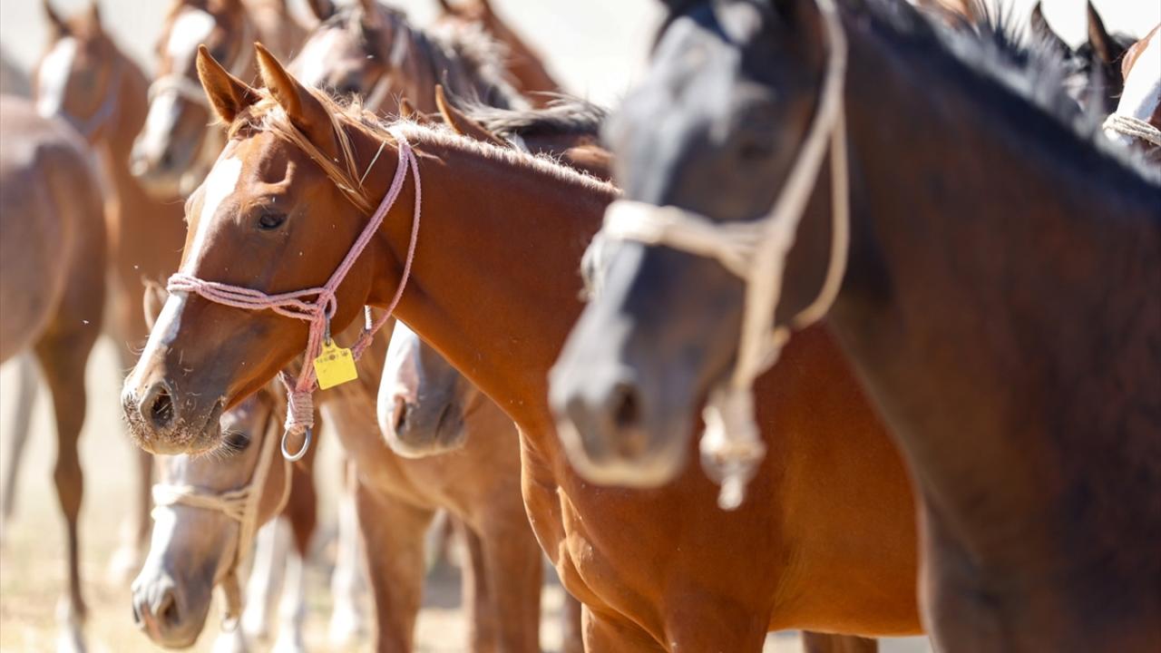 "Son 5 yılda yükselen bir grafiğimiz mevcut"