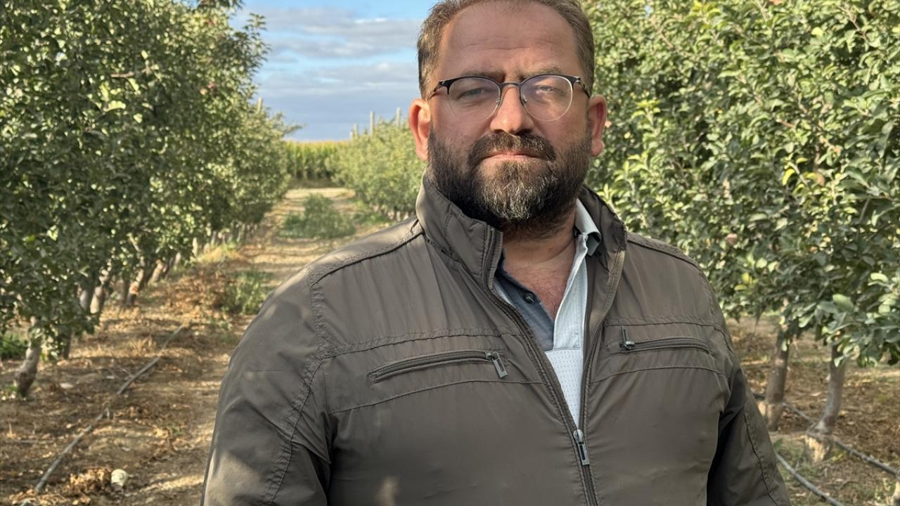 "Birinci sınıf elma üretmek zorundayız"