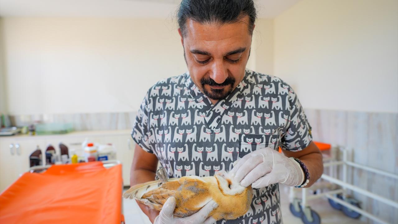 "Yeniden kanat çırpan her canlı ile mutlu oluyoruz"