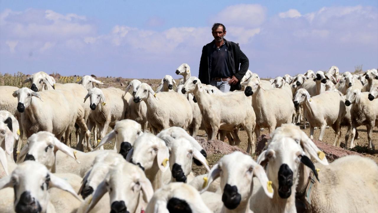 "Kendi işimizi yapalım dedim"
