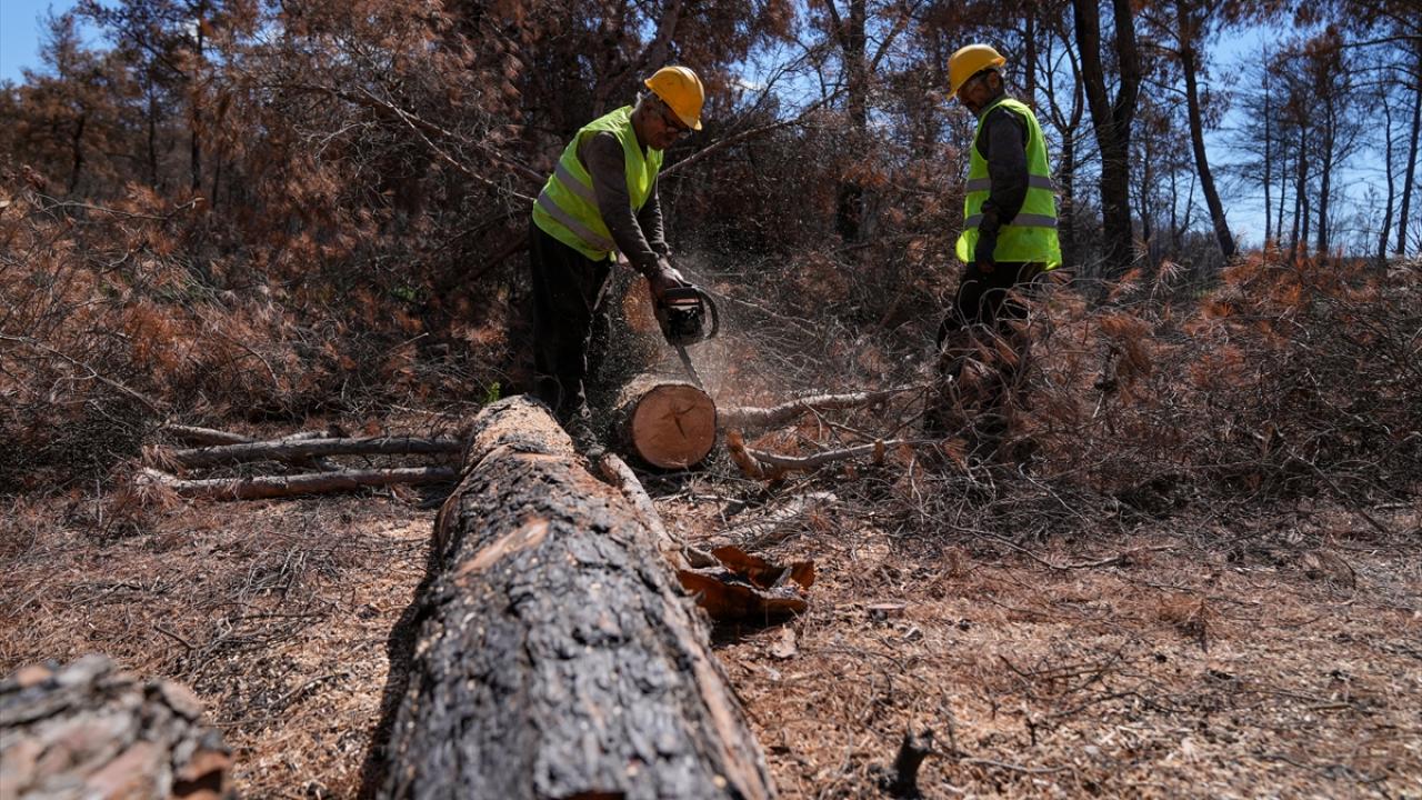 Önce tahribat belirleniyor