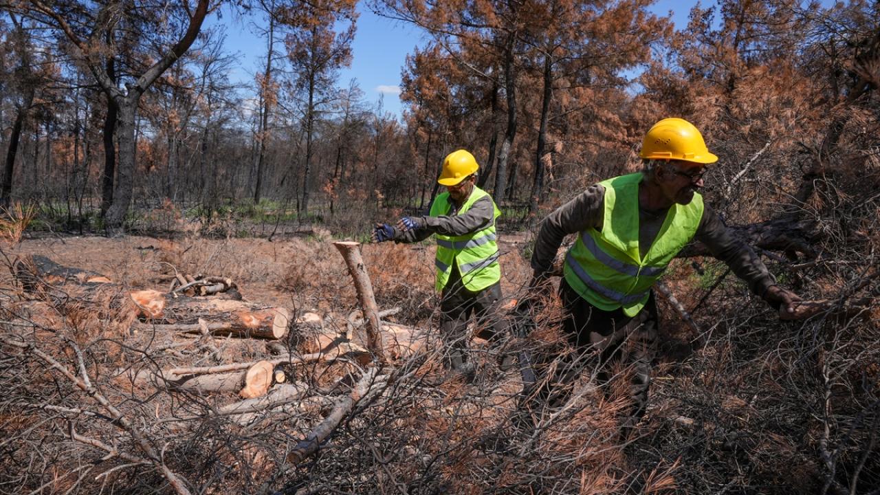 "Çalışmaları hızlı yapmamız gerekiyor"