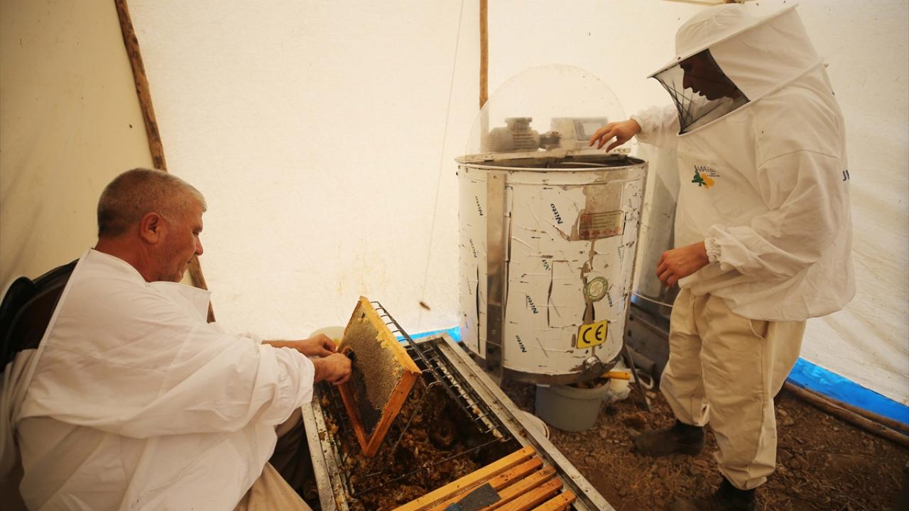 "4 kuşaktır arıcılık yapıyoruz"