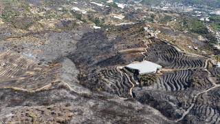 Alanya'da yangından zarar gören alanlar havadan görüntülendi