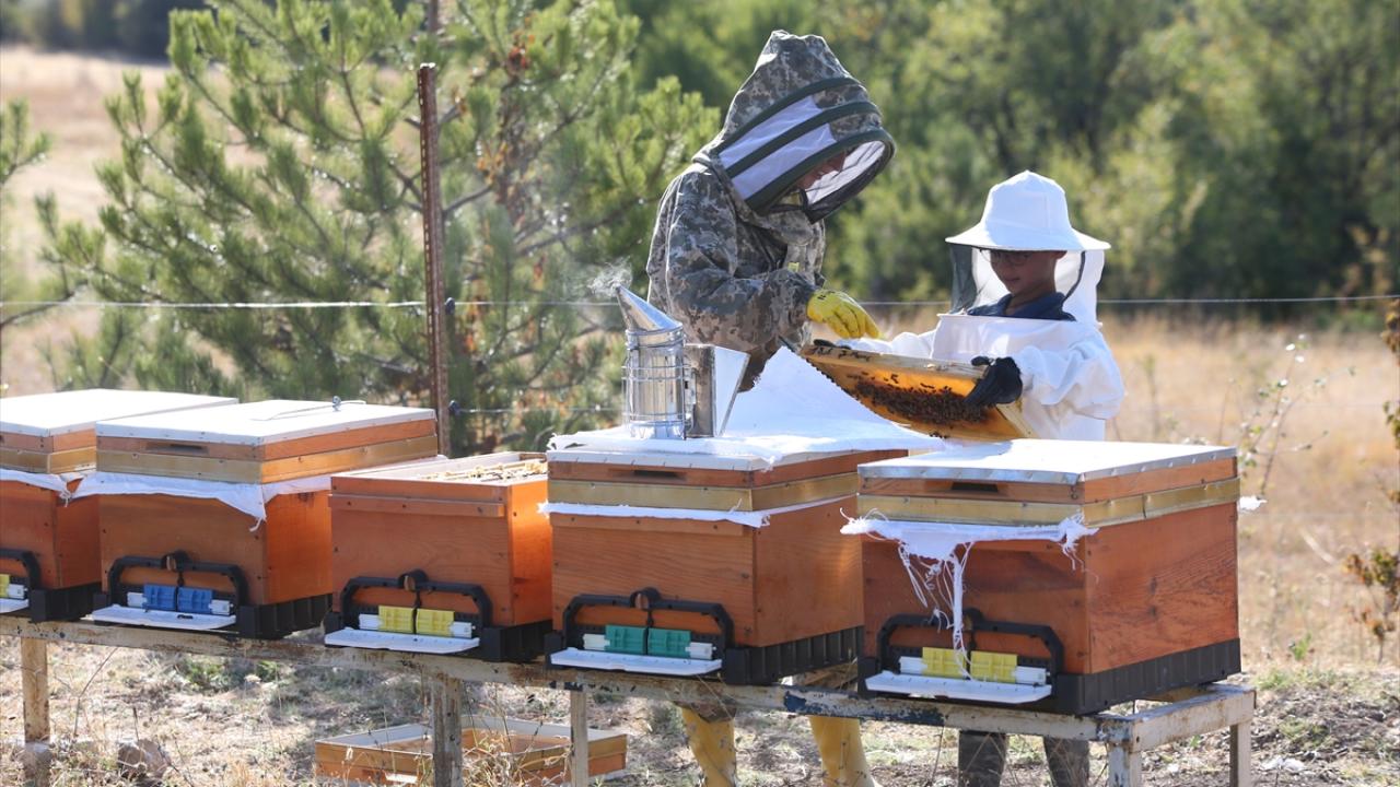 Arıları için her hafta yaklaşık 900 kilometre yol katediyor