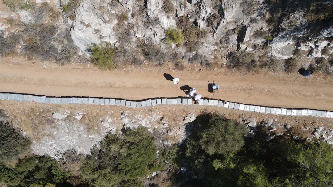 Bodrum'da baba oğul ata mesleği arıcılığı ürün çeşitlendirmesiyle sürdürüyor