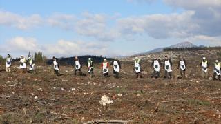 İzmir'de orman yangınlarında zarar gören alanlar yeni fidanlar için hazırlanıyor