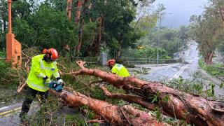 Hong Kong’da Süper Tayfun Ragasa nedeniyle yaşam durma noktasında