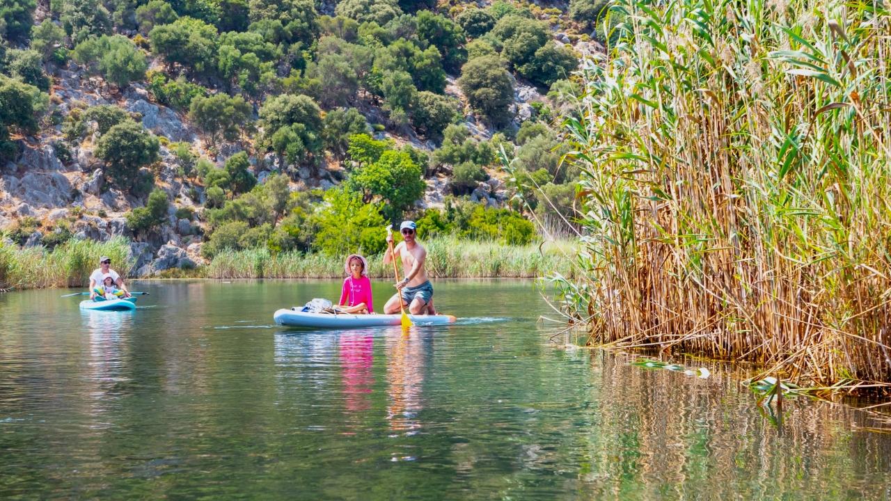 Caretta carettalar arasında kano turu