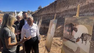 Kayseri'deki fosil kazılarında 7,7 milyon yıllık kılıç dişli kaplan fosili bulundu