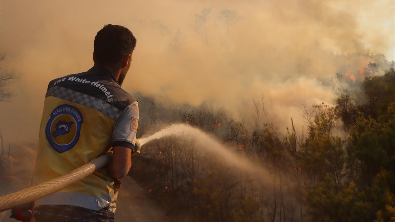 Suriye'nin Lazkiye ilindeki orman yangınında 3 itfaiye görevlisi yaralandı