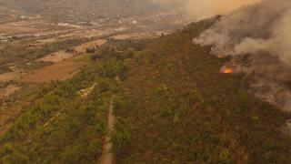 Suriye'nin Lazkiye ilindeki orman yangınları 4 gündür sürüyor