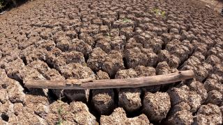 Kırklareli'nin Taşlık Göleti kuraklık nedeniyle kurudu