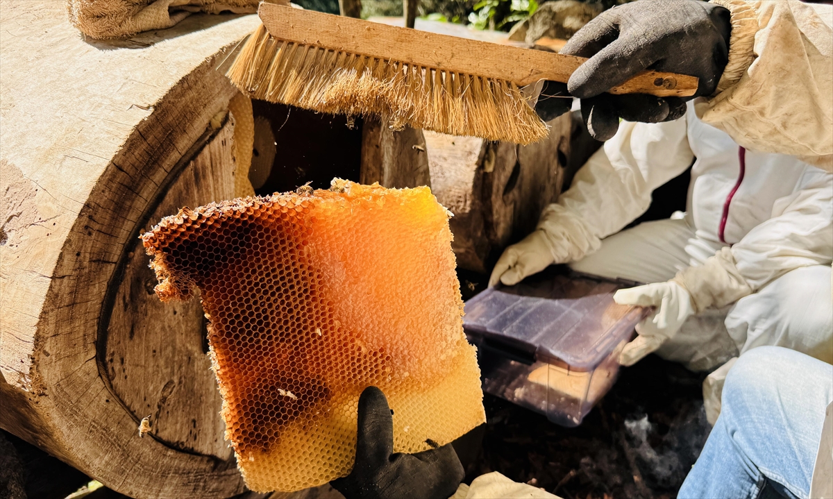 "Dubai`den bile sipariş aldık, göndereceğiz"