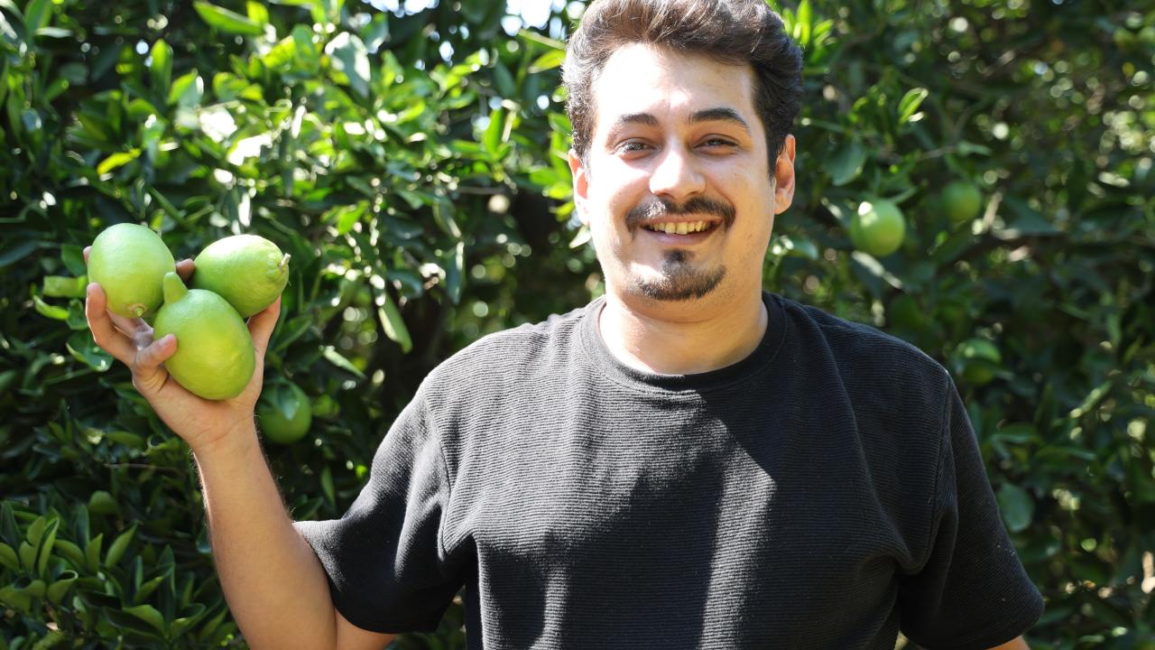 Rekolte düşük olunca limon para etti
