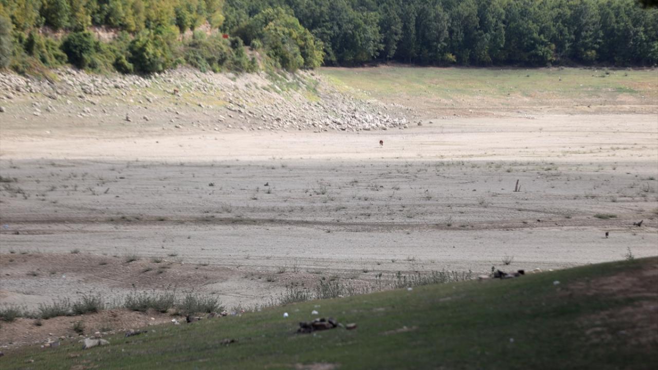 "Şu an çok büyük susuzluk var"
