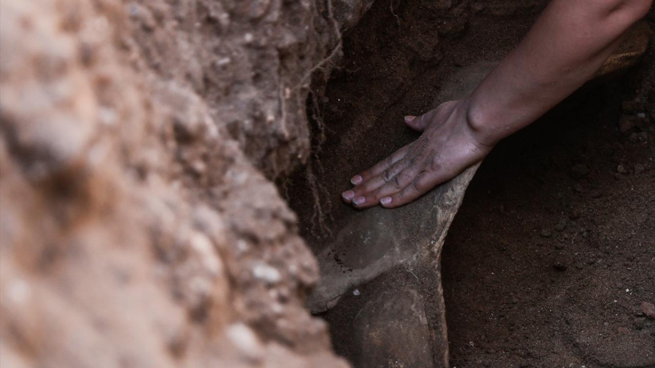 "Amacımız balinayı bütün halinde çıkarabilmek"