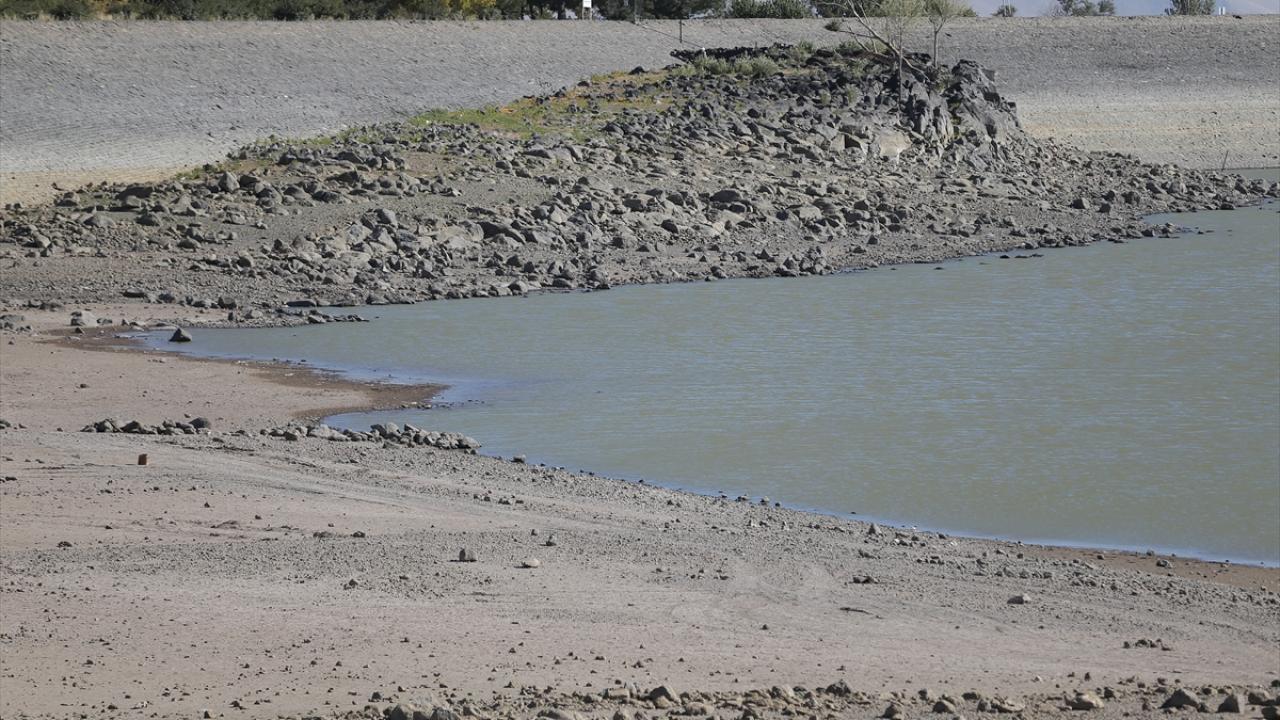 "Bazı türleri doğadan çektiğiniz zaman oranın besin piramidi çöküyor"