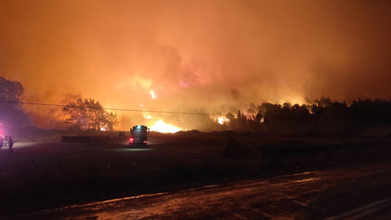 Bursa'da orman yangını