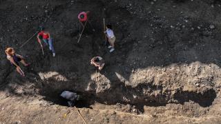 Mersin'de 4 yıl önce toprağa gömülen Fin balinasının iskeleti çıkarılıyor