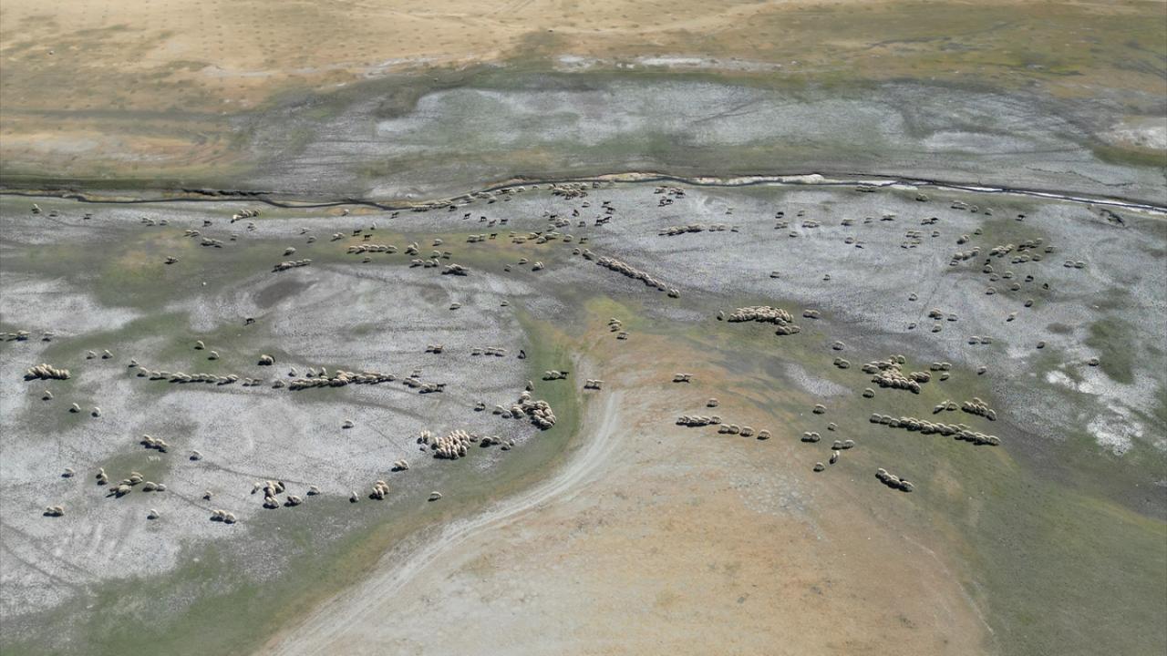 Niğde'deki barajların doluluk oranı kuraklık nedeniyle düştü