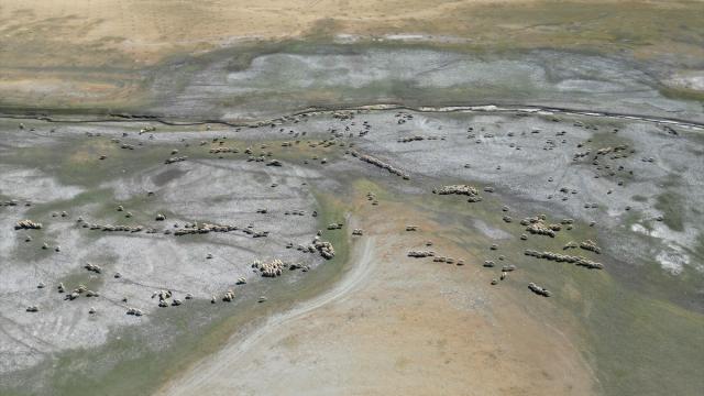 Niğde'deki barajların doluluk oranı kuraklık nedeniyle düştü