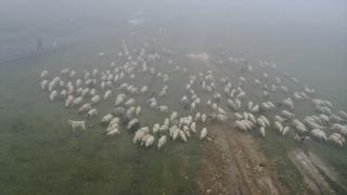 Sisler altındaki Karadeniz yaylalarından dönüş yolculuğu başladı