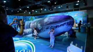 Bangkok'ta 2025 Sürdürülebilirlik Expo'su düzenlendi