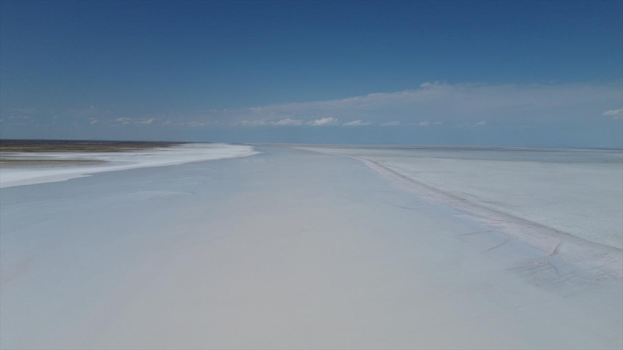 Tuz Gölü'nde yaşanan kuraklık biyolojik çeşitliliği de etkiliyor