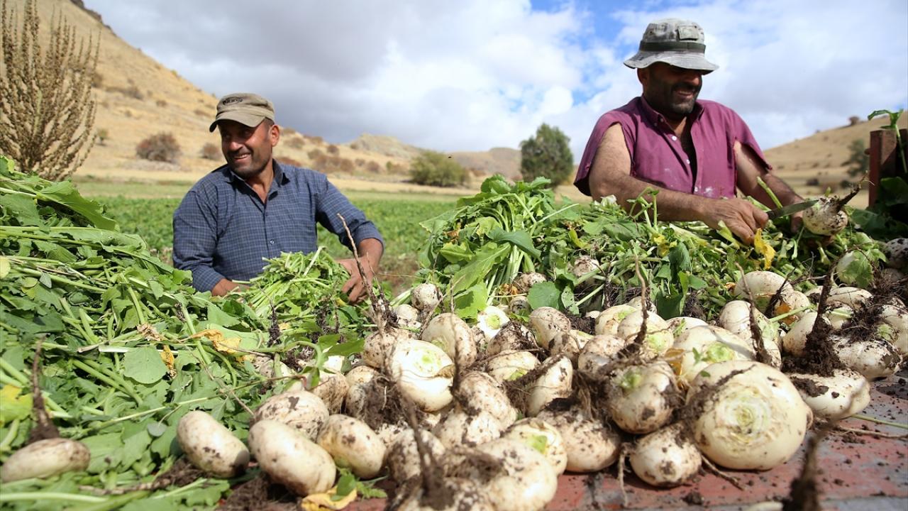 "Babam, dedem hep bu şekilde yaptılar"