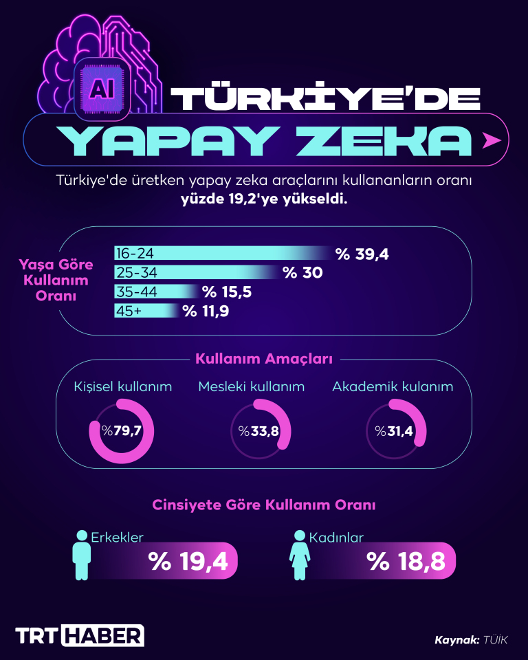 Türkiye'de üretken yapay zeka kullandığını beyan edenlerin oranı yüzde 19,2