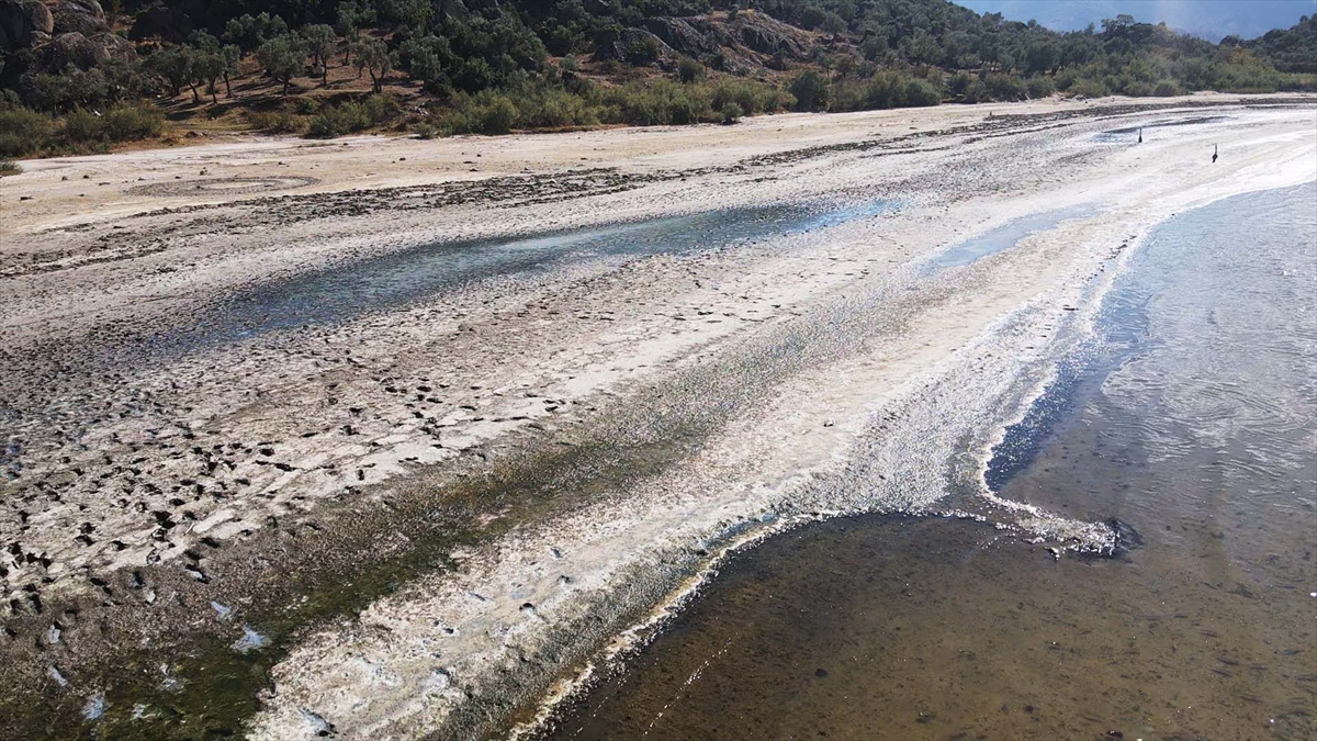 Ege Bölgesi'nin en büyük doğal gölü Bafa, eski günlerine hasret
