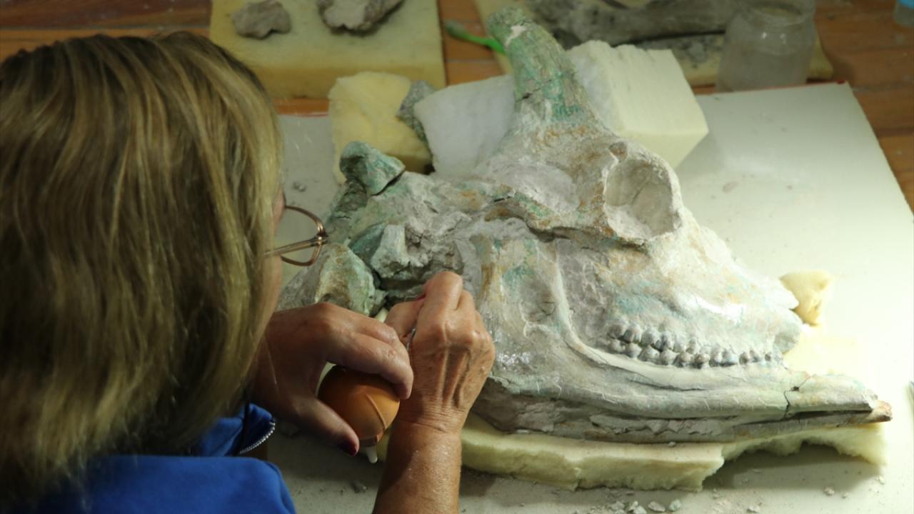 "9 milyon yıla doğru giden bir tarihlendirme yapılabileceğini düşünüyorum"