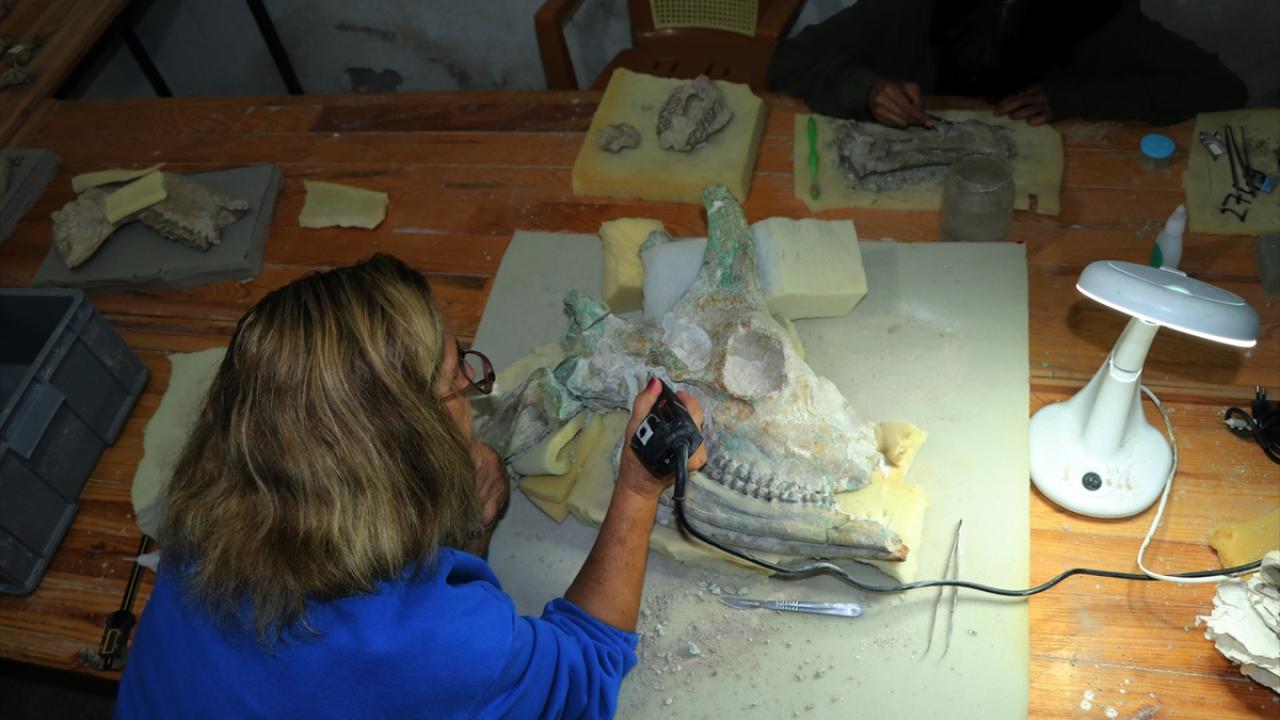 "Çorakyerler, sürprizlerle dolu bir alan"