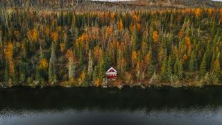 Alaska’da Sonbahar Büyüsü