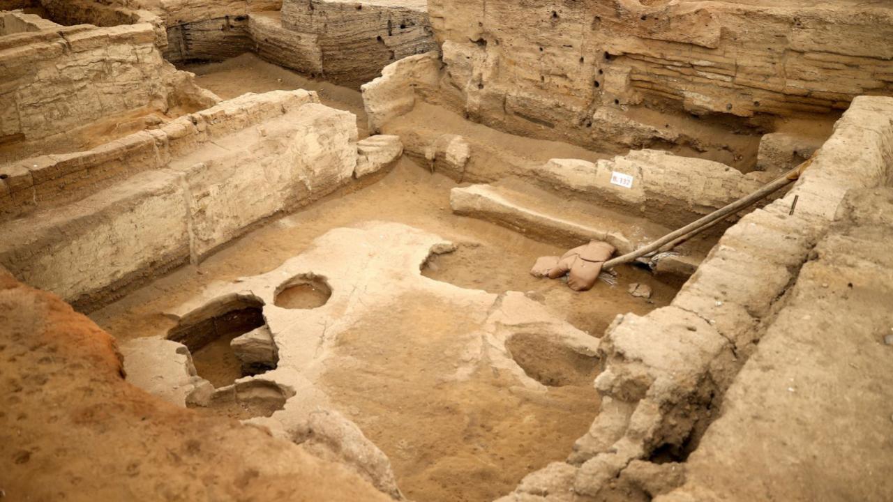 Tavşanlı’da 4 bin yıllık nohut, Çatalhöyük’te 8 bin 600 yıllık ekmek kalıntıları gün yüzüne çıkarıldı