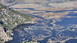 Labirenti andıran Dalyan Kanalı’nda ekim hareketliliği
