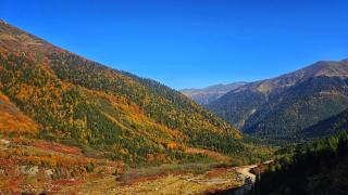 Kaçkar Dağları sonbahar renklerine büründü