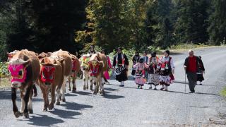 Şalpazarı’nda yayla göçü geleneği devam ediyor