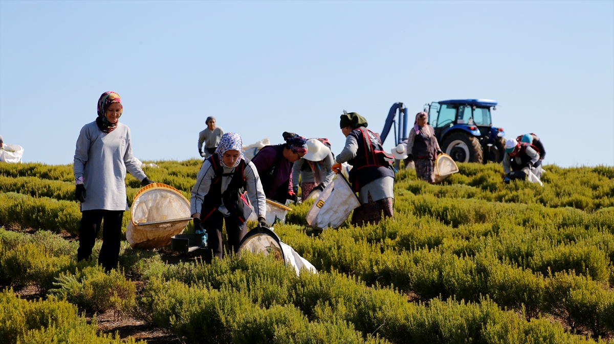 "Çiftçinin yükünü ciddi manada biz üstleniyoruz"