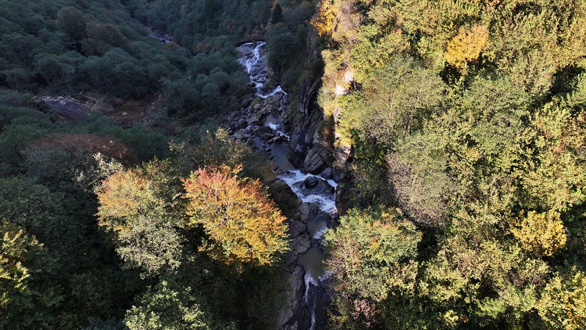 "Uçarsu Şelalesi`nde öncelikle yaya olarak ulaşılabilecek bir aks oluşturduk"