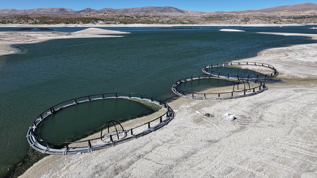 "20-30 yıldır burada yaşarım ama daha önce bu kadarını görmedim"