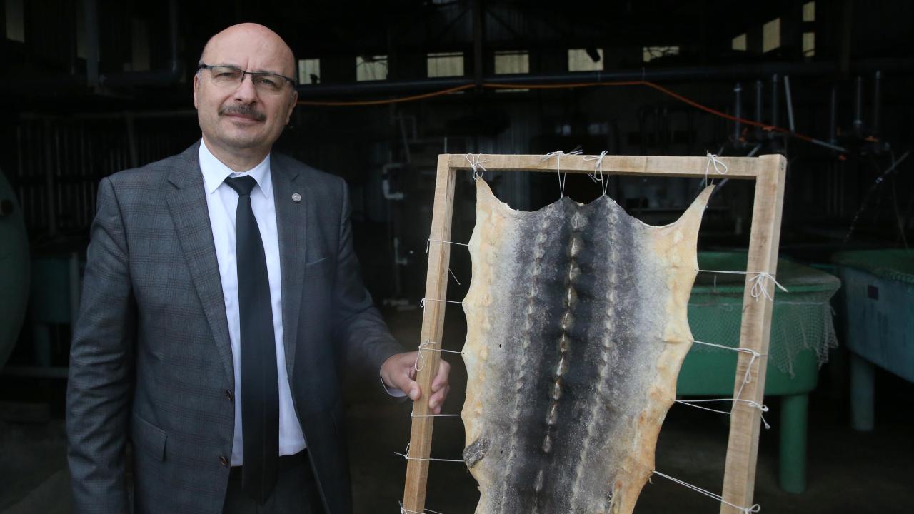  "Büyüme performansı oldukça başarılı"
