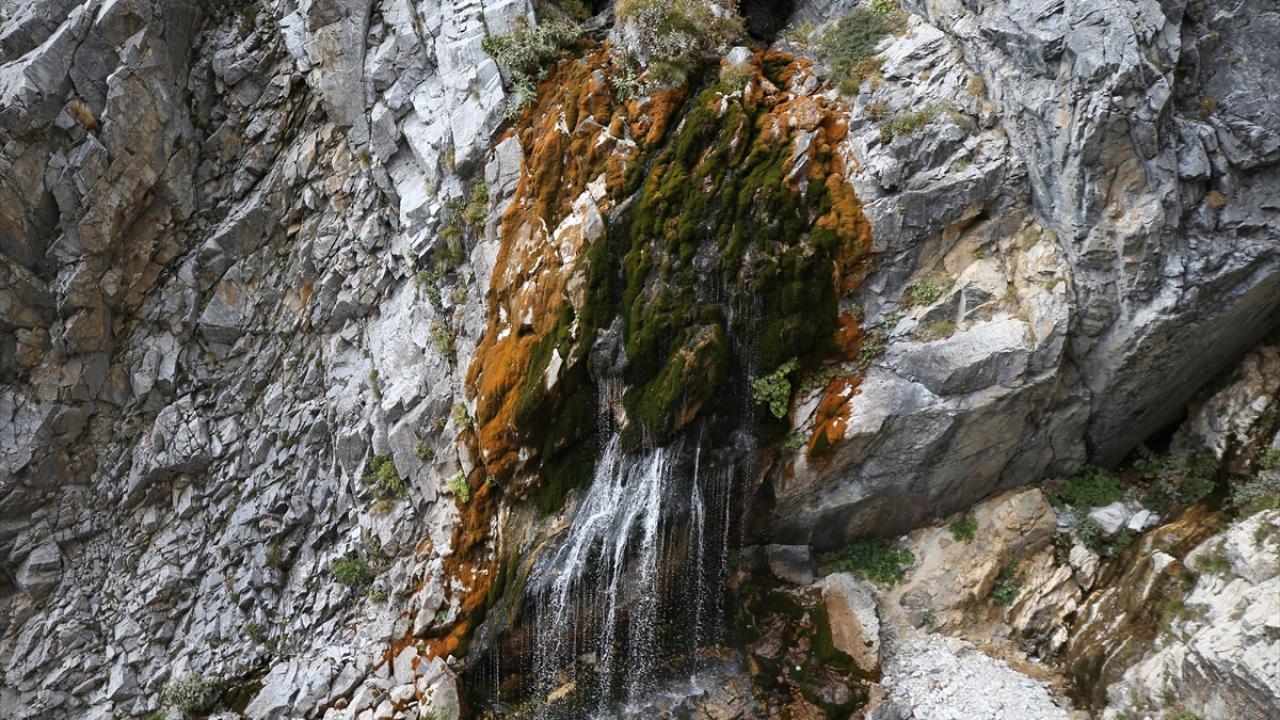 "Mevcut sularda da yüzde 80 oranında düşüş gözlemledik"