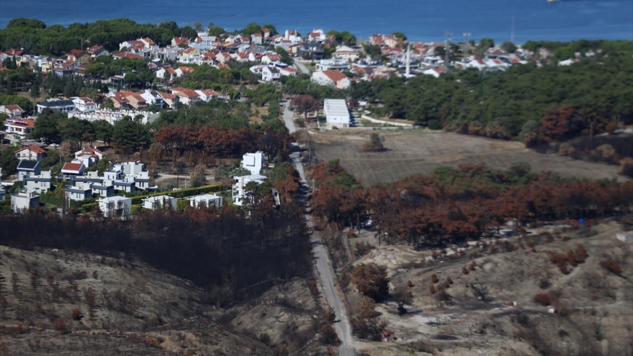 "Yangına dirençli ormanlar kurulacak"
