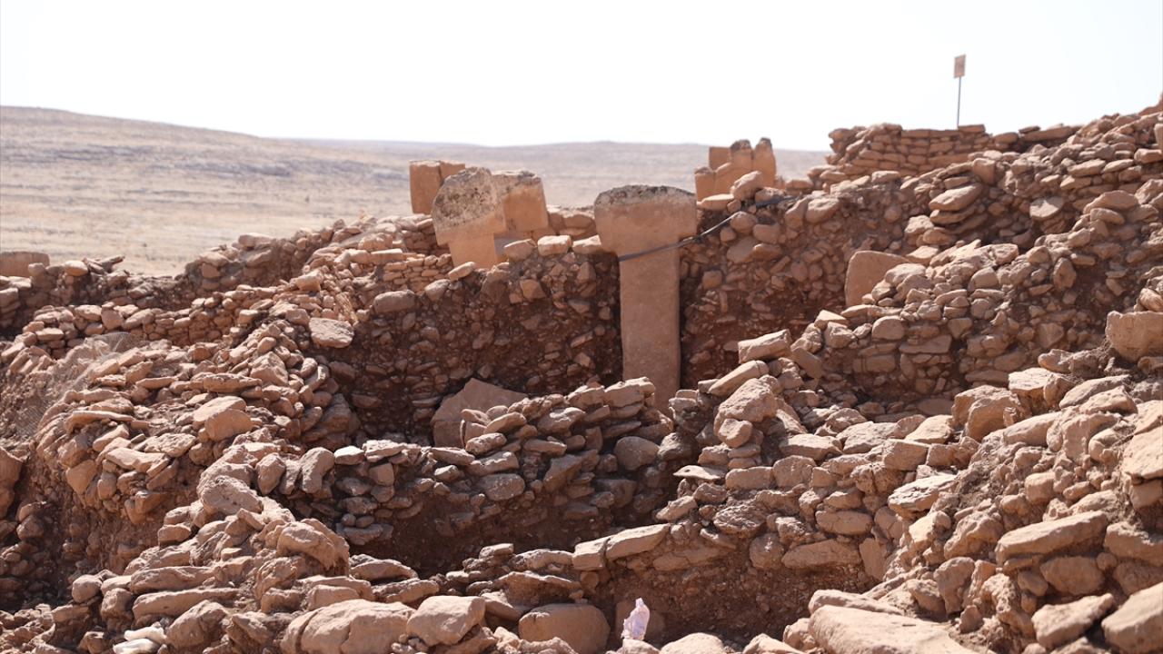 Bitki kalıntıları tarıma geçiş sürecine ışık tutacak