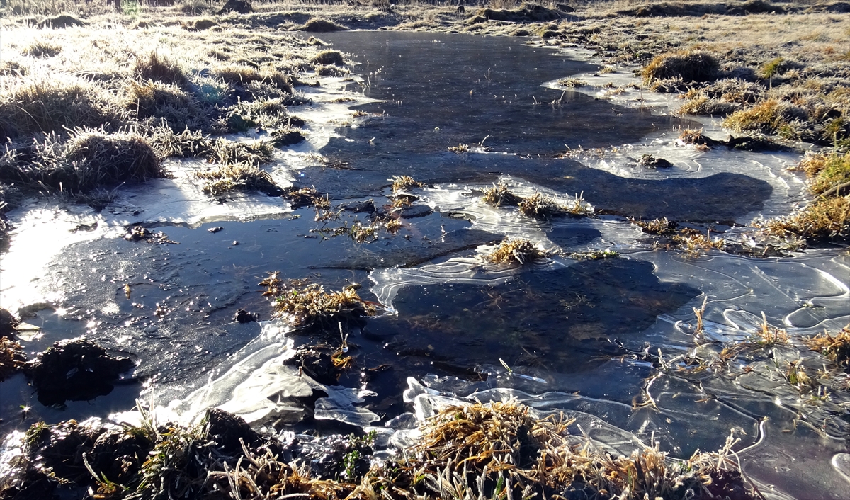 Küçük göletler buz tuttu