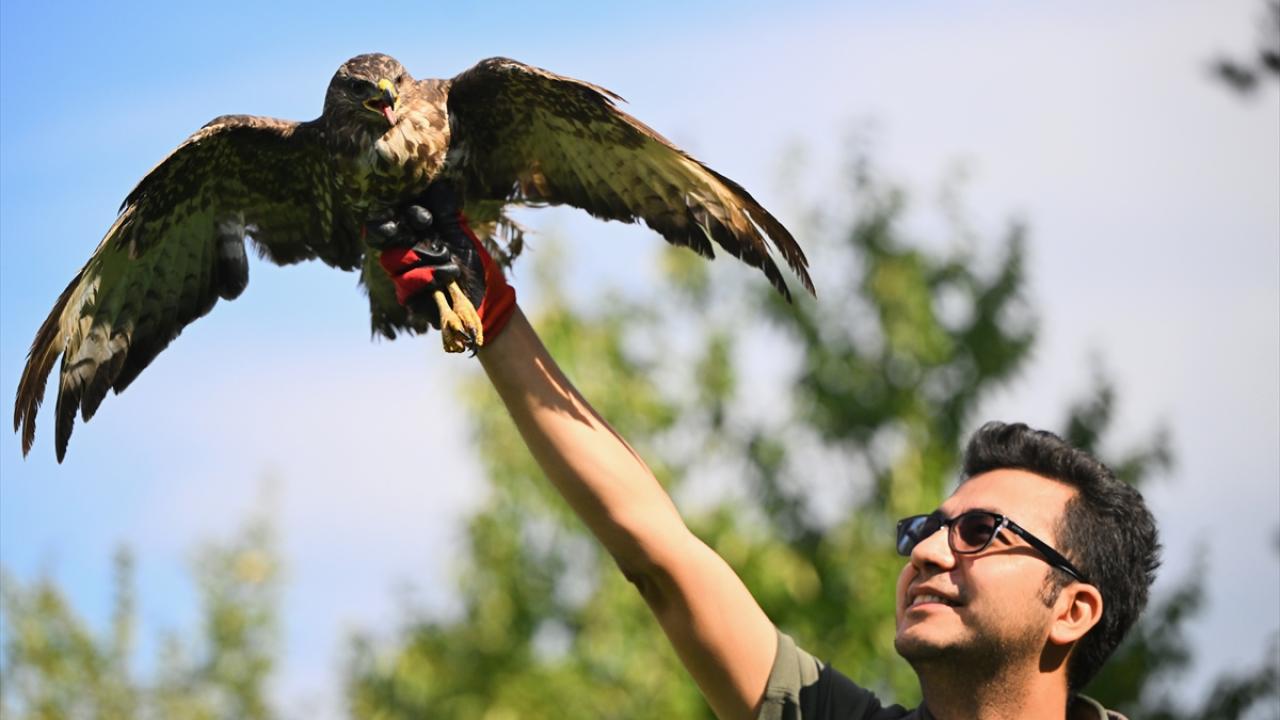 "Şu an doğaya salınma aşamasında"